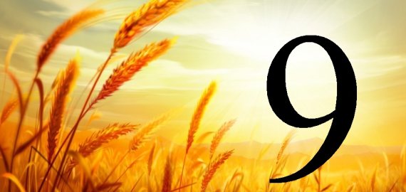 Rugpjūčio 9-oji Lietuvoje ir pasaulyje