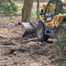 Tvarkomas parkas tarp Rokiškio rajono ligoninės ir psichikos centro (foto+video)