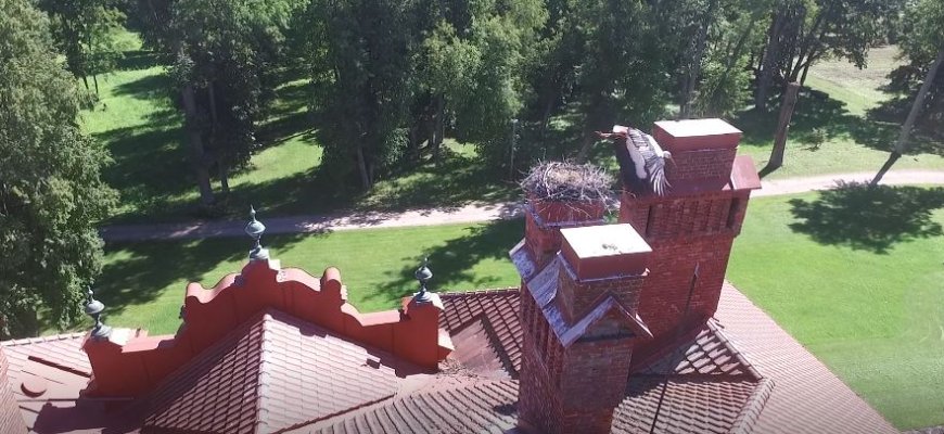 Ant Rokiškio dvaro stogo apsigyveno gandras (video)