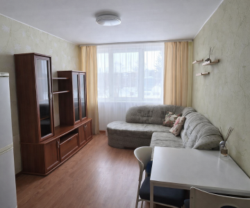 Dviejų kambarių butas