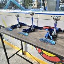 Globos namų bavariško akmenslydžio čempionatas (foto+video)