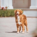 Ilzenbergo dvaro ekskursijos ir edukacijos: ką gali išmokti vaikai ir suaugusieji?