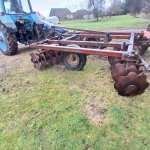 Lėkštinis skutikas