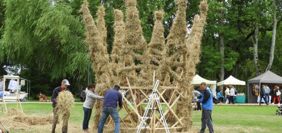 Karaliaus Mindaugo karūnavimo diena Rokiškyje (video+foto)