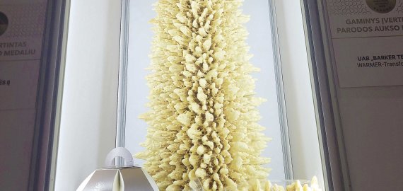 Rokiškietės L. Sadauskienės įmonės šakočiui – antras aukso medalis 