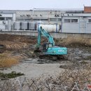 Tvarkoma AB „Rokiškio Sūris“ teritorija (video+foto)