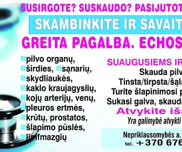 Greita pagalba. Echoskopija