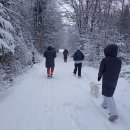 Ruoniai taškosi ir Rokiškyje: kiekvieną sekmadienį juos sutiksite miesto ežero pakrantėje  