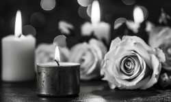 Atsisveikiname su R.J. Naviku