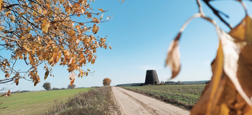 Po vėsių dienų Lietuvą pasieks šiluma – vietomis šils iki 17 laipsnių