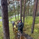 Rokiškyje paminėta Turizmo diena: nuo regeneratyvaus turizmo iki naktinių išbandymų žygyje (foto)