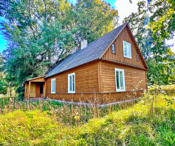 Vienkiemis prie Surdegio