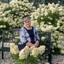 Sveikinimas Lidijai Kolosovai jubiliejaus proga