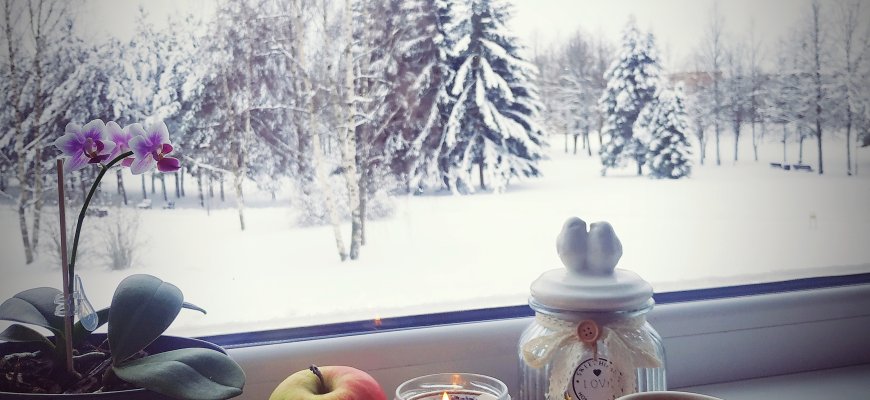 Sinoptikė: savaitės viduryje šaltis ims trauktis, grįš sniegas