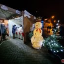 Eglės įžiebimo šventė šiemet pranoko lūkesčius (foto+video)