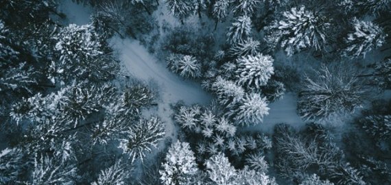 Gruodis – savęs pažinimo mėnuo: ką verta suprasti apie save iki Naujųjų?