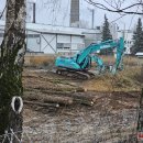 Tvarkoma AB „Rokiškio Sūris“ teritorija (video+foto)