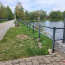 Pasigenda rūpesčio ir priežiūros Tyzenhauzų alėja