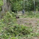 Rokiškį nusiaubė audra (video+foto)