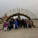 Su garsiausiais Lietuvos plaukikais plaukimo čempionate varžėsi 4 jaunieji sportininkai iš Rokiškio