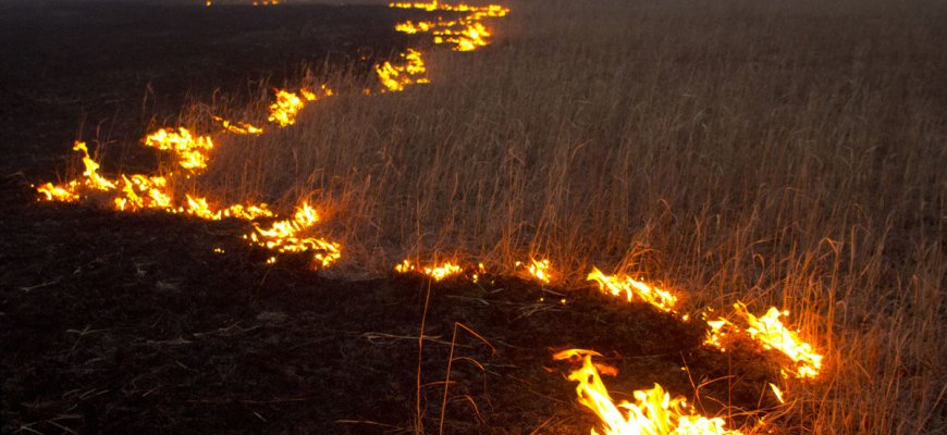 Degančios pievos neleidžia atsipūsti priešgaisrinei gelbėjimo tarnybai