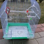 Narvelis papūgėlei