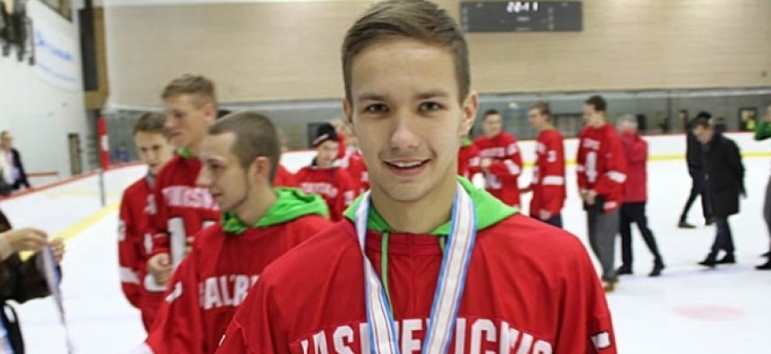 Rokiškėnas tęs karjerą Švedijoje