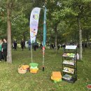 Tradicija, jungianti kartas: Velykalnyje nuskambėjo J. Tūbelio progimnazijos bendruomenės šventė (video+foto) 