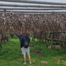 Rokiškėnas R. Grigas ketverius metus narplioja vulkaninius paslaptingosios Islandijos klodus  (foto+video)