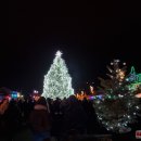 Eglės įžiebimo šventė šiemet pranoko lūkesčius (foto+video)