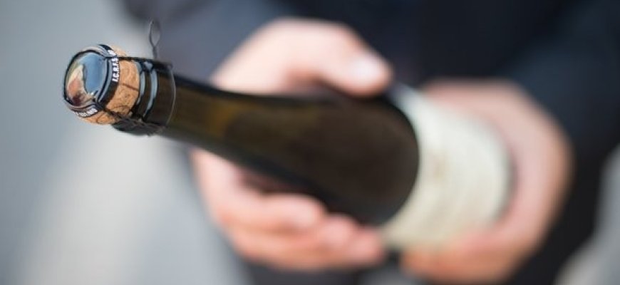 Nemokamai pasivaišinti nepavyko