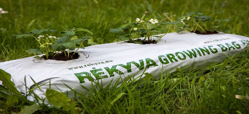 Aukštos kokybės durpių produktai augalininkystei