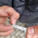 Rokiškyje atgyja žaidimas „Geocaching“: prieš savaitę D. Stepanovas papildė lobių slėptuvių vietas 