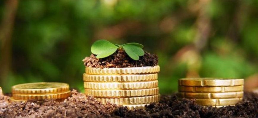 Valstybinės žemės nuomos mokestį Rokiškio rajone reikia sumokėti elektroniniu būdu