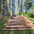 Kedena istorijos klodus – dar kartą atstatytas Obelių šile esantis partizanų bunkeris (foto)