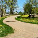 Užburiantis vaizdas: pražydęs Ilzenbergo dvaro parkas nepaliks abejingų