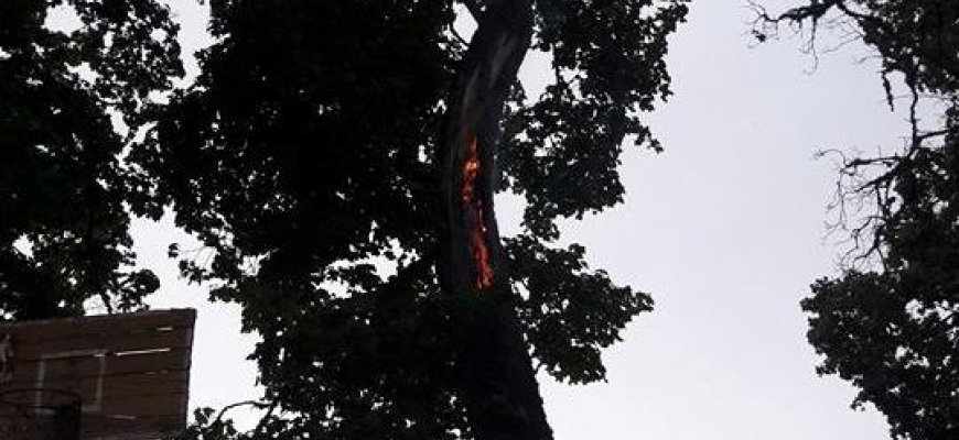 Unikalus reiškinys po žaibo trenksmo Pakriaunio kaime (video)