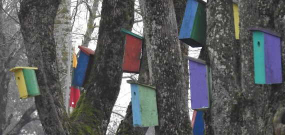 Artimiausiomis dienomis orai išliks pavasariški