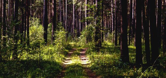  „Misija Sibiras“ atskleidė, kur vyks šių metų ekspedicija