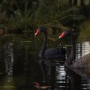 Pamokose išsėdėti per sunku? Ilzenbergo dvare vadovėlius keičia patyriminės ekskursijos