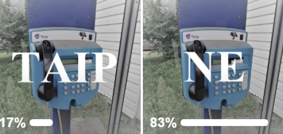 Taksofonų rokiškėnai nepasiges (apklausos rezultatai)