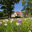 Užburiantis vaizdas: pražydęs Ilzenbergo dvaro parkas nepaliks abejingų