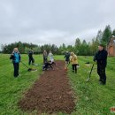 Puošia Velykalnio parką: jau augančių ąžuolų ir narcizų plantacijas šiemet papildė jurginai