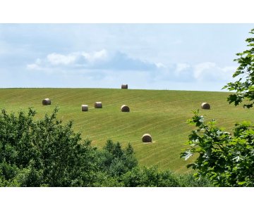 Žemė Obelių seniūnijoje