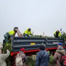 Rokiškėnai namo nešėsi eglės ir pušies šakų bei pirmą kartą – Betliejaus taikos ugnį (foto)