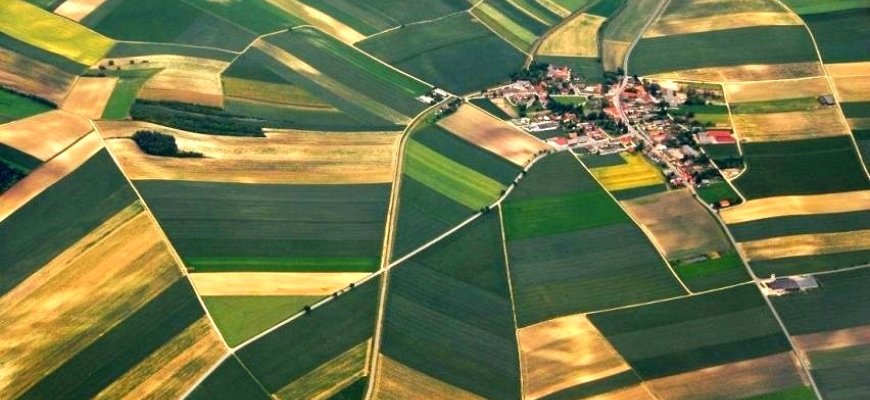 Šalinamos kliūtys žemės reformai baigti
