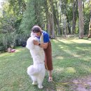 Ilzenbergo dvaro tradicija – šunų festivalis: šį kartą nustebino aklo šuns pasirodymas (foto)