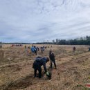 Ąžuolų giria jau pasodinta – Nacionalinis miškasodis Rokiškyje šį kartą buvo išskirtinis (foto)