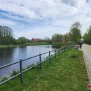 Pasigenda rūpesčio ir priežiūros Tyzenhauzų alėja