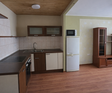 Dviejų kambarių butas